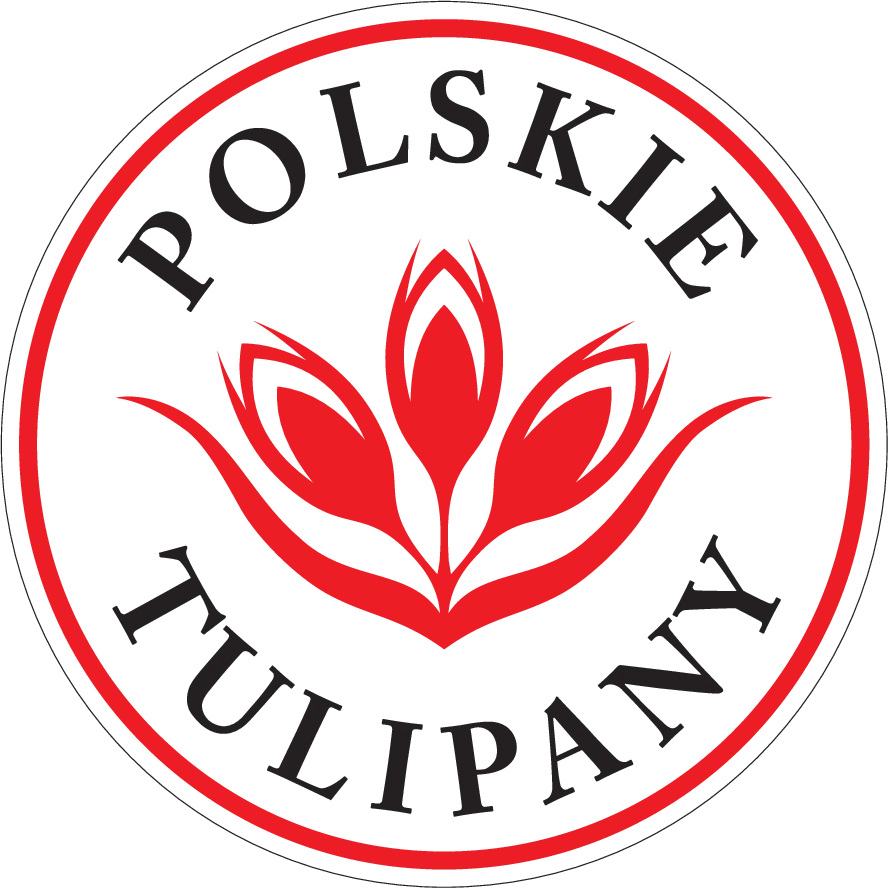 Polskie Tulipany